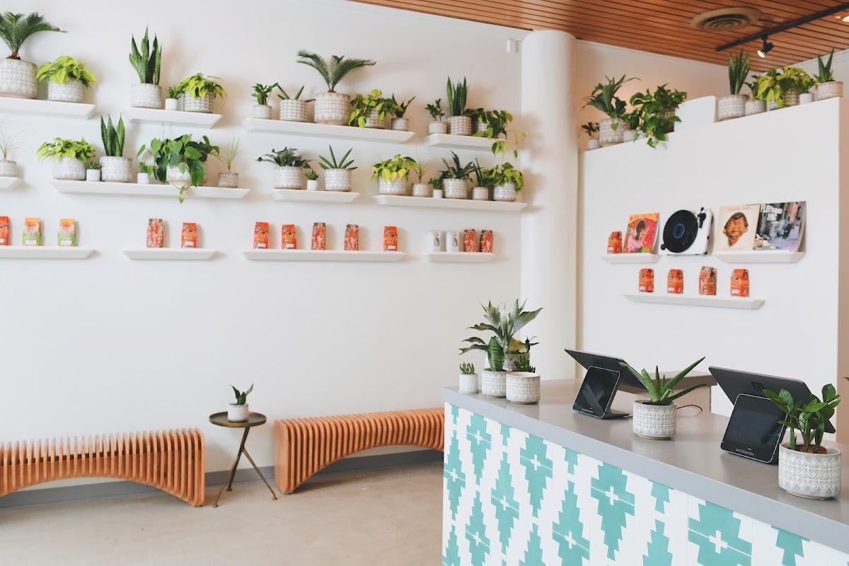 Cajé Coffee Roasters