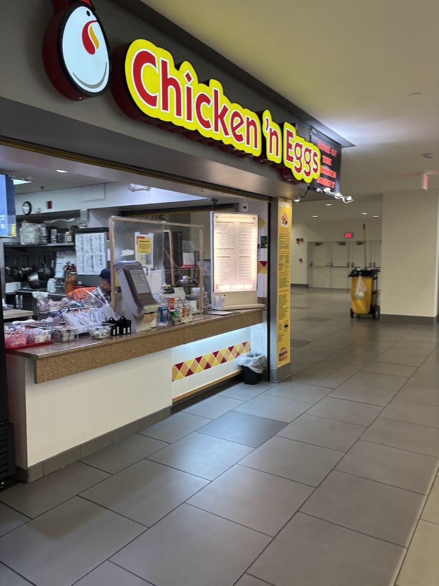 Chicken & Eggs