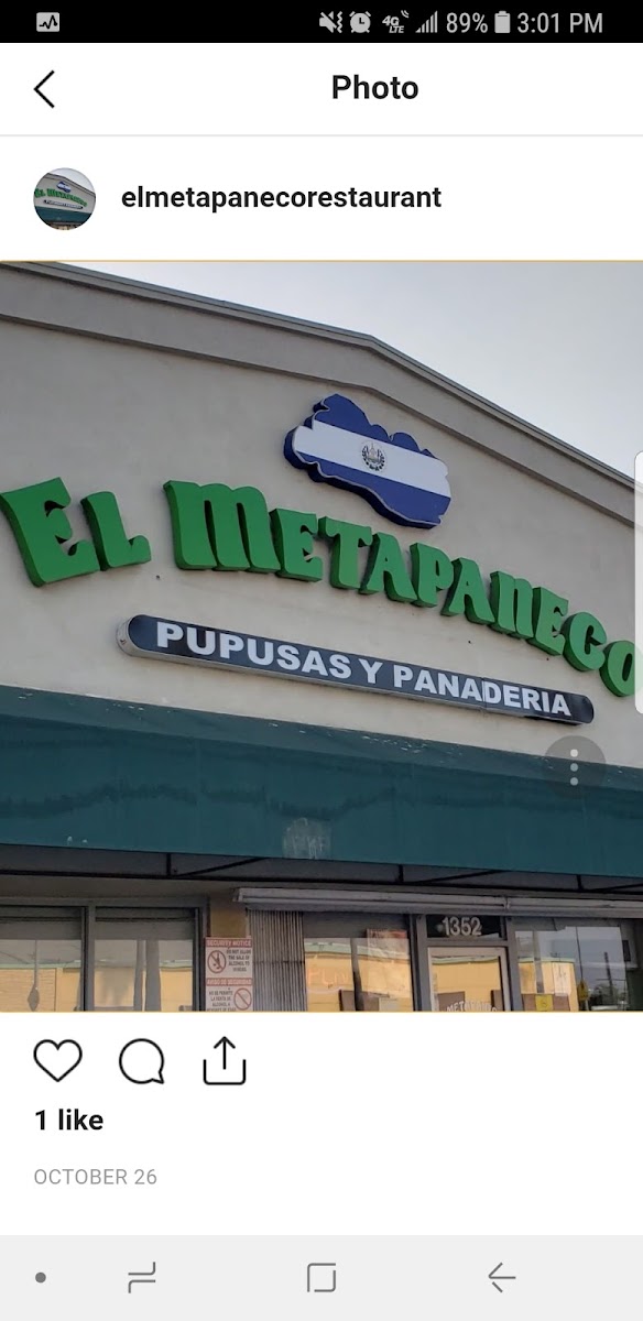 El Metapaneco