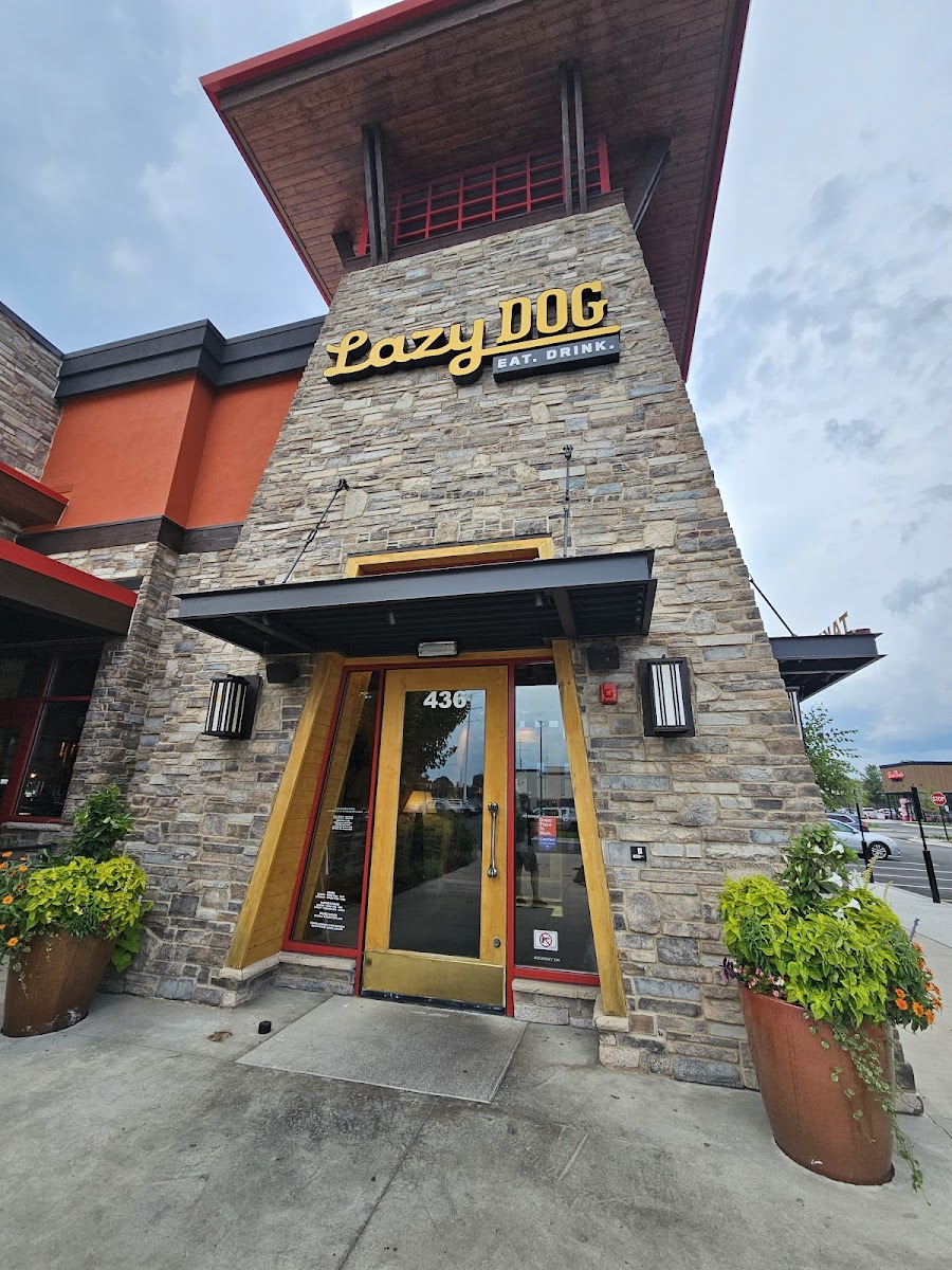 Lazy Dog Restaurant & Bar