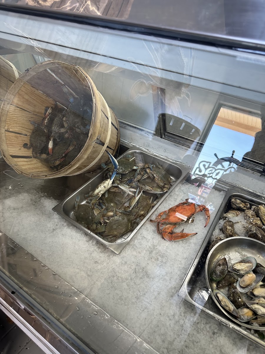 Yummy Seafood